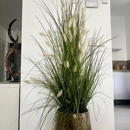 Oase Van Rust Apartment Palm-mar